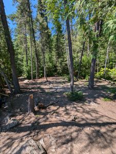 tent spots