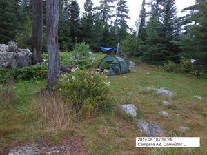 Darkwater L. Campsite AZ grassy interior