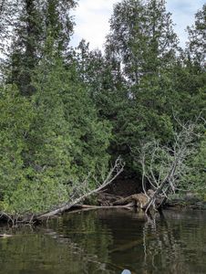 Hanson landing