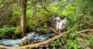 waterfall