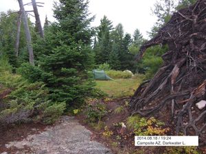 Darkwater L. Campsite AZ uprooted tree & widow makers