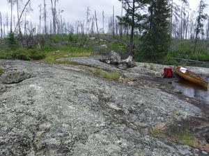 Royd Creek campsite looking north