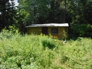 Trapline cabin on Sydney Lake