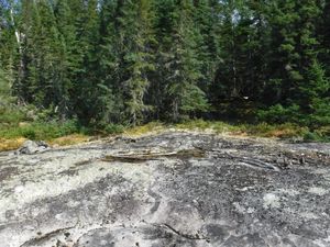 Unmarked Sydney Lake campsite on exposed rock beach