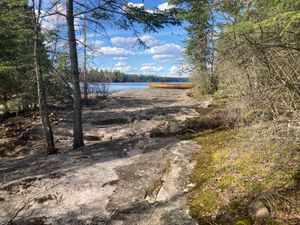 Washout from 2022 early spring flooding, looking north