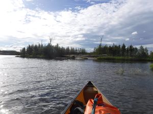 Beautiful Jigsaw campsite from the water looking north