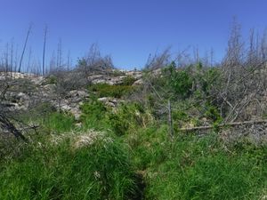 south entrance of Welkin portage looking north