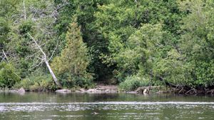 Agamok landing