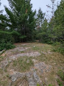 tent spot