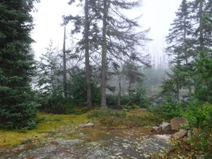 Portage trail campsite looking southwest
