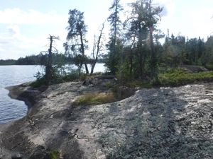 Beautiful campsite on Broken Arrow Lake looking west