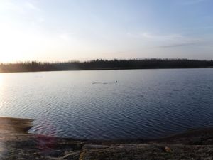 River otters swimming by campsite looking north