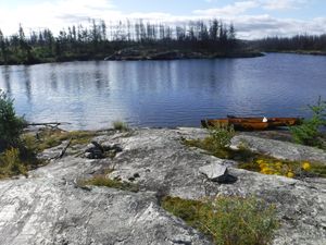 Island campsite that survived 2021 fire looking south