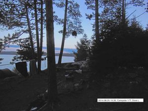 Doré Lake, Campsite 17T bear tree