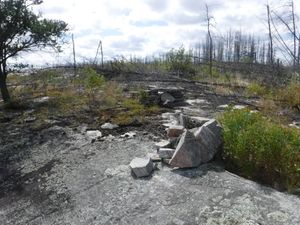Well constructed fire rings on Mather campsite looking south