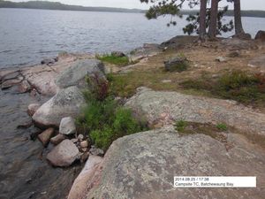 Batchewaung Bay, Campsite TC