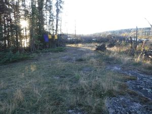 KE campsite cleaned-up after 2021 fire looking west