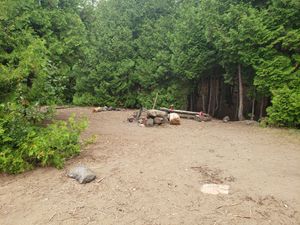 Doorway to cedar grove behind kitchen