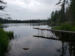 Looking north into Makwa