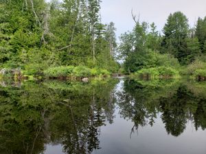 The portage is here somwhere