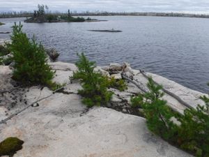 Burned up campsite on Garner River looking southeast