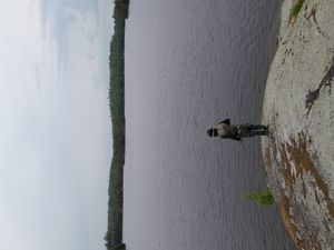 Adam's Lake island, east side
