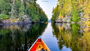 Fraser-Thomas Narrows