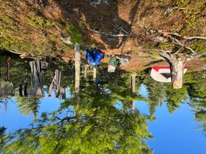 Campsite 541