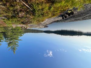 Campsite 541