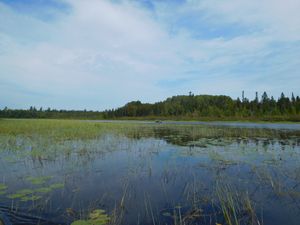 DSCN5336.JPG