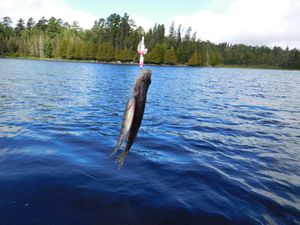 DSCN5348.JPG
