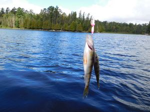 DSCN5349.JPG