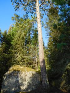 DSCN5373.JPG
