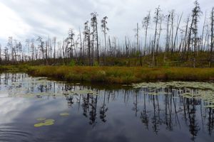 Pond off Hudson narrows