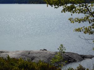 DSCN5412.JPG