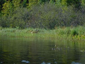 DSCN5415.JPG
