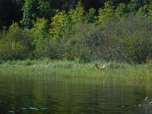 DSCN5416.JPG