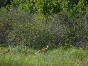 DSCN5417.JPG