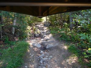 DSCN5418.JPG