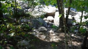 DSCN5420.JPG