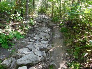 DSCN5424.JPG