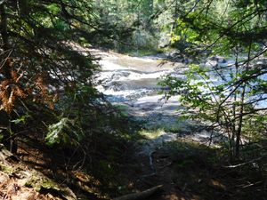 DSCN5426.JPG