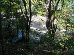 DSCN5427.JPG