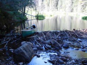 DSCN5432.JPG