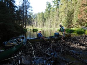 DSCN5439.JPG