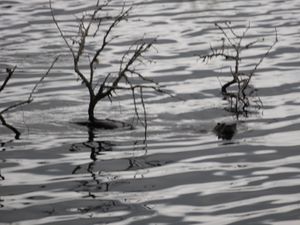 DSCN5301.JPG