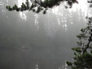 DSCN5326.JPG