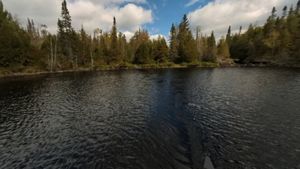 Homie wanders further