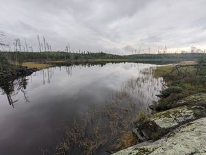 PXL_20230909_224446219.jpg