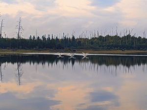 PXL_20230909_224829975~2.jpg